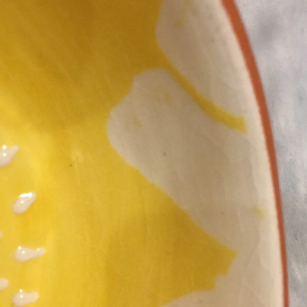 Crate & Barrel Sunflower Juicing Bowl glazed Ceramic Portugal NWT 7.5”x6.5”